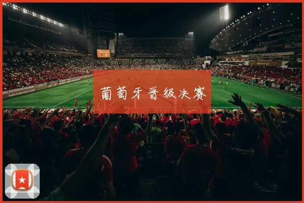 葡萄牙晋级决赛