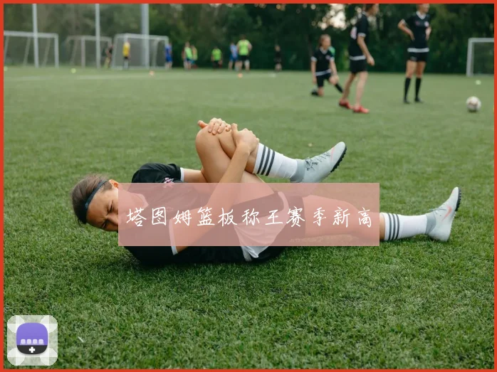塔图姆篮板称王赛季新高