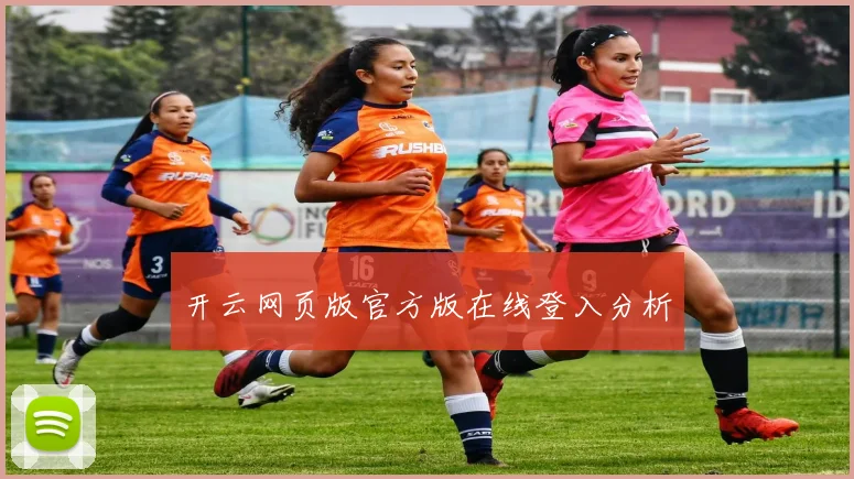 开云网页版官方版在线登入分析