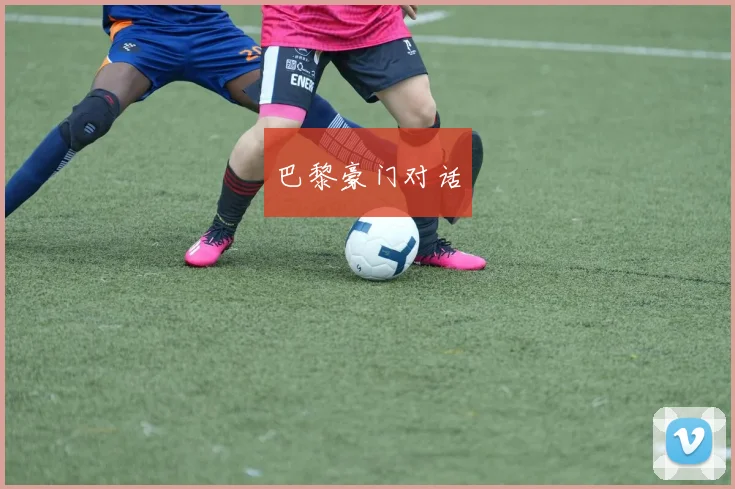 巴黎豪门对话