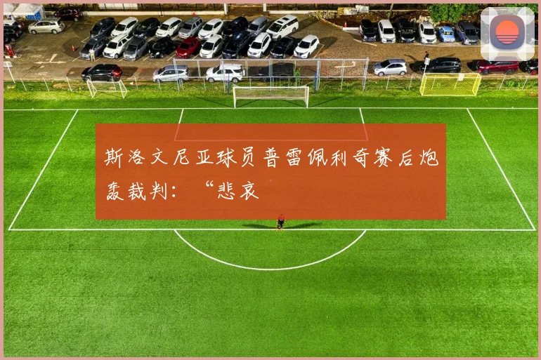 斯洛文尼亚球员普雷佩利奇赛后炮轰裁判：“悲哀