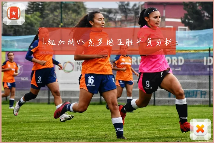 L组加纳vs克罗地亚胜平负分析