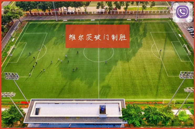 维尔茨破门制胜