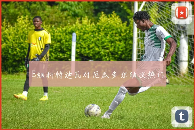 E组科特迪瓦对厄瓜多尔助攻热门