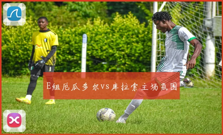 E组厄瓜多尔vs库拉索主场氛围
