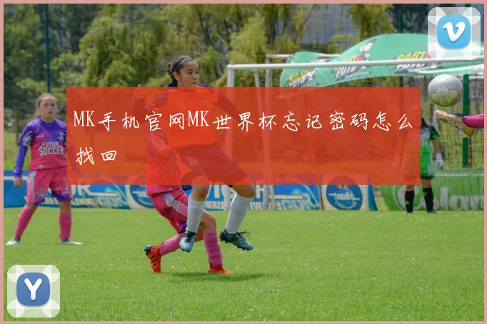 MK手机官网MK世界杯忘记密码怎么找回